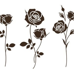 Meet your Posher, Rosa